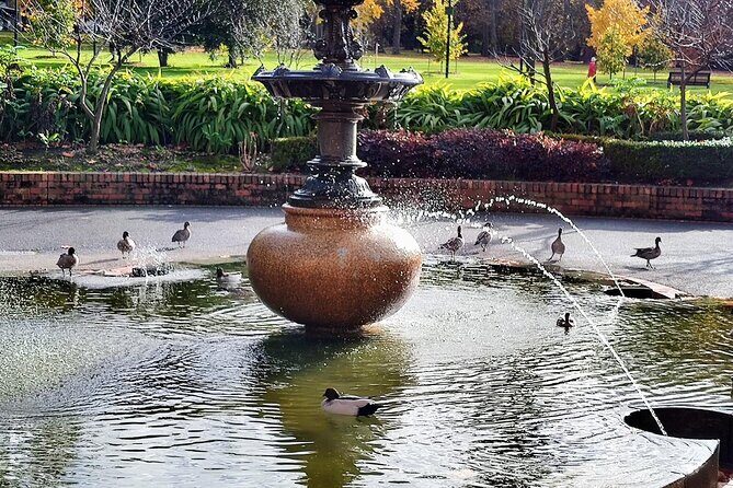 Melbourne and Moonlit Sanctuary Shore Excursion - Who Will Love This Tour?