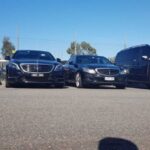 Melbourne CBD Sightseeing Private Tour  Up to 14 travellers - Authentic Experiences and Honest Observations