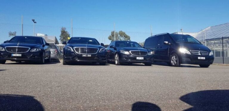 Melbourne CBD Sightseeing Private Tour  Up to 14 travellers - Authentic Experiences and Honest Observations