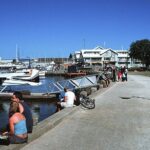 Melbourne City and Williamstown Ferry Cruise - Itinerary and Sights