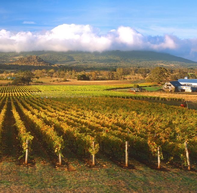 Melbourne: Full-Day Horses, Wine, and Beer Tour - Who Would Love This Tour?