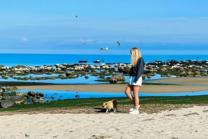 Melbourne Great Ocean Road 12 Apostles Luxury Coach Tour - Who Will Love This Tour?