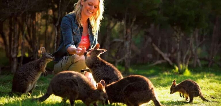 Melbourne Highlights & Aussie Wildlife Express Tour - Exploring Melbourne’s City Highlights