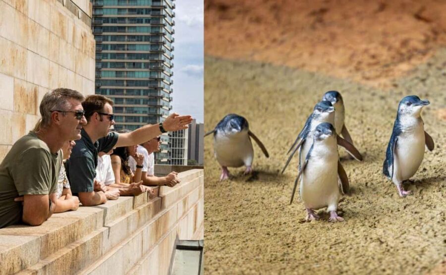 Melbourne Magic: City Highlights and Penguin Parade Tour - Exploring the Details: From Melbourne Streets to Penguin Shores