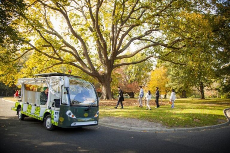 Melbourne: Melbourne Gardens Explorer Minibus Tour - Who Should Consider This Tour?