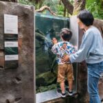 Melbourne: Melbourne Museum Entry Ticket - The Sum Up: Who Should Consider Visiting?