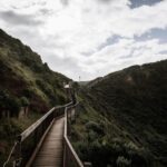 Melbourne: Mornington Peninsula & Hot Springs Tour 8 pax max - In-Depth Review of the Mornington Peninsula & Hot Springs Tour