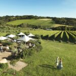 Melbourne: Mornington Peninsula Wine Day Tour - Who Should Consider This Tour?