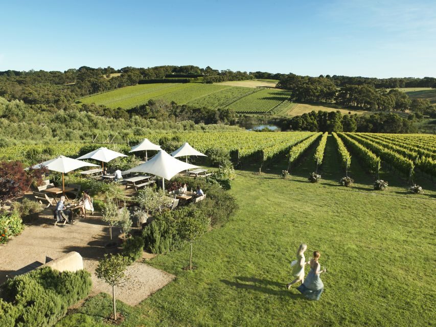 Melbourne: Mornington Peninsula Wine Day Tour - Who Should Consider This Tour?