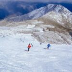Melbourne: Mt Buller Snow Getaway Day Trip (6 Hours Fun on Snow) - What to Expect at Each Stop