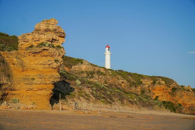 Melbourne Ocean Road Discovery Day Tour - Who Should Take This Tour?