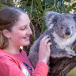 Melbourne: Penguin Parade & Phillip Island Scenic Day Tour - FAQs About the Melbourne: Penguin Parade & Phillip Island Tour