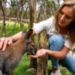 Melbourne: Peninsula Nature Private Day Trip with Dinner - What Could Be Better?