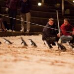 Melbourne: Phillip Island Tour & Penguin Parade - Transportation, Group Size & Comfort