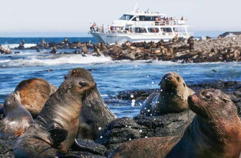Melbourne: Phillip Island Tour w/ Hop-on Bus or Seal Cruise - Who Should Consider This Tour?