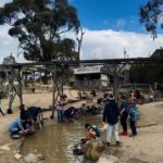 Melbourne: Private Ballarat & Sovereign Hill Gold Mine Tours - The Logistics: What to Expect and How to Prepare