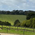 Melbourne: Private Mornington Peninsula & Winery Tours. - How the Experience Comes Together