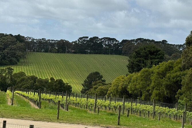 Melbourne: Private Mornington Peninsula & Winery Tours. - How the Experience Comes Together
