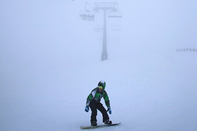 Melbourne: Private Mount Buller Snow and Ski Tours - The Sum Up