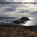 Melbourne: Private Phillip Island Penguin Parade Tour - What’s Included and What to Consider