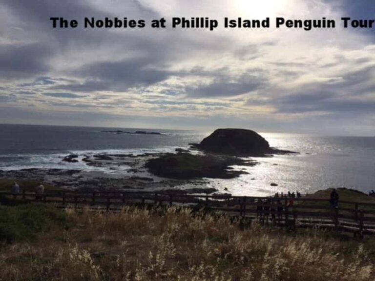 Melbourne: Private Phillip Island Penguin Parade Tour - What’s Included and What to Consider