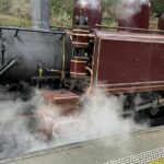 Melbourne: Private Puffing Billy Train & Phillip Island Tours - Practical Aspects and Value