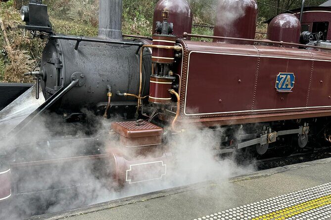 Melbourne: Private Puffing Billy Train & Phillip Island Tours - Practical Aspects and Value