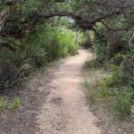 Melbourne: Private Wilson Promontory National Park Day Tours - Transportation and Logistics