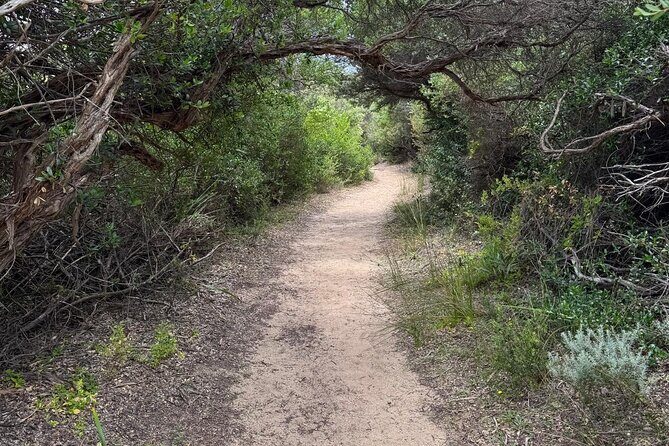 Melbourne: Private Wilson Promontory National Park Day Tours - Transportation and Logistics