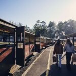Melbourne: Puffing Billy Railway & Rainforest Tour - Why This Tour Works Well