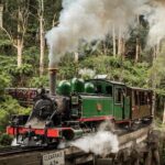 Melbourne Puffing Billy Train and Penguin Parade Day Tour Escape - A Deep Dive Into the Experience