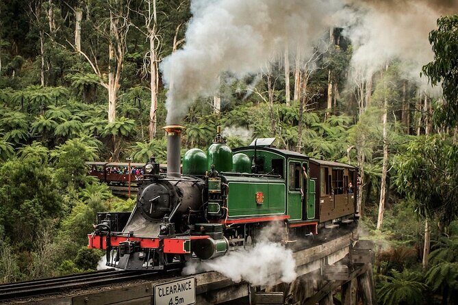 Melbourne Puffing Billy Train and Penguin Parade Day Tour Escape - A Deep Dive Into the Experience