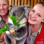 Melbourne Shore Excursion, Aussie Wildlife, Lunch, Wine & Sights - What You’ll Experience