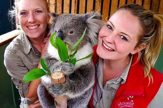 Melbourne Shore Excursion, Aussie Wildlife, Lunch, Wine & Sights - What You’ll Experience