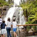 Melbourne Snow Trip to Lake Mountain with Chocolates & Waterfalls - Who Will Love This Tour?