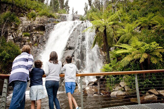 Melbourne Snow Trip to Lake Mountain with Chocolates & Waterfalls - Who Will Love This Tour?