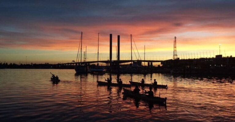 Melbourne: Sunset Kayak Tour with Dinner - Victoria Harbour: A Scenic Warm-up