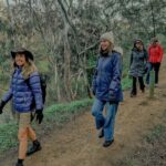 Melbourne Tour: Walk the Yarra & Heritage Convent Experience - Why This Tour Offers Great Value