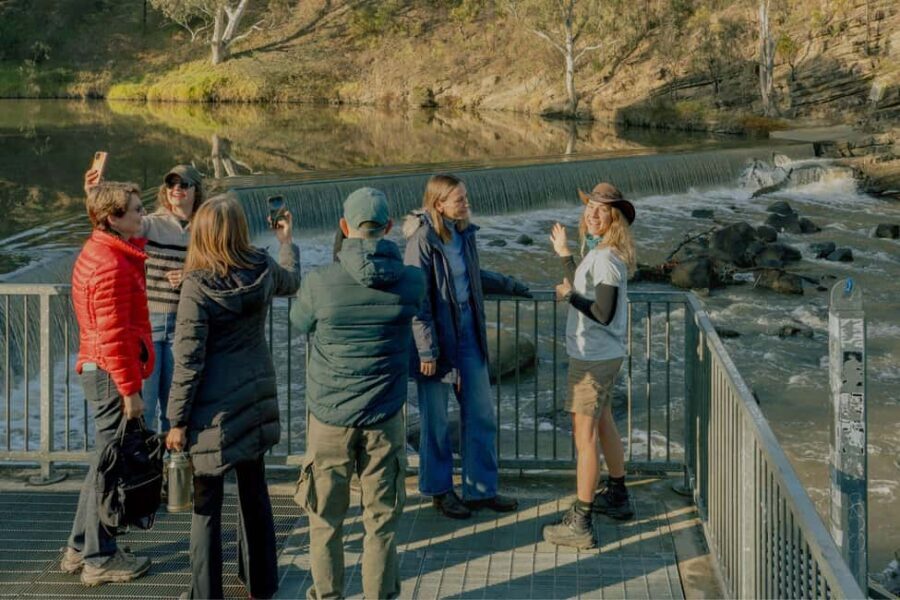 Melbourne Tour: Walk the Yarra & Historic Boathouse Lunch - The Historic Fairfield Boathouse: A Perfect Lunch Spot