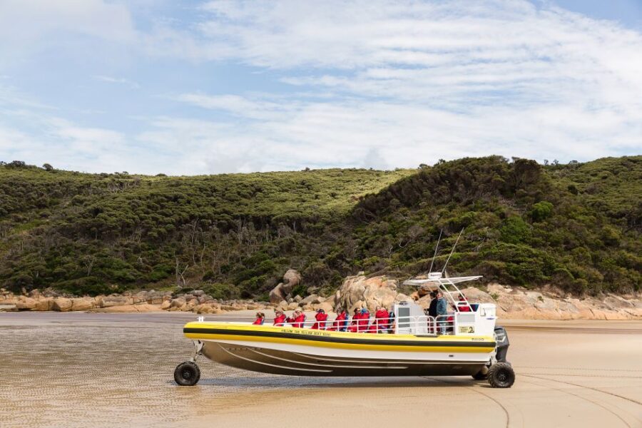 Melbourne: Wilsons Promontory Morning Wilderness Cruise - The Sum Up