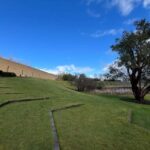 Melbourne: Yarra Valley Wineries Private Car Tour - Authentic Feedback from Travelers