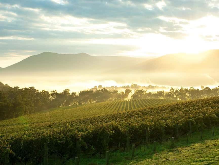 Melbourne: Yarra Valley Wineries Private Day Tour - Melbourne: Yarra Valley Wineries Private Day Tour — A Deep Dive into Victoria’s Wine Paradise
