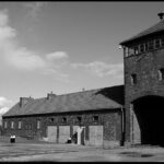 Memorial and Museum Auschwitz-Birkenau Tour & Krakow Transfer - Who Should Consider This Tour?