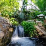 Memphis Botanic Garden Entry Ticket - Authentic Traveler Insights