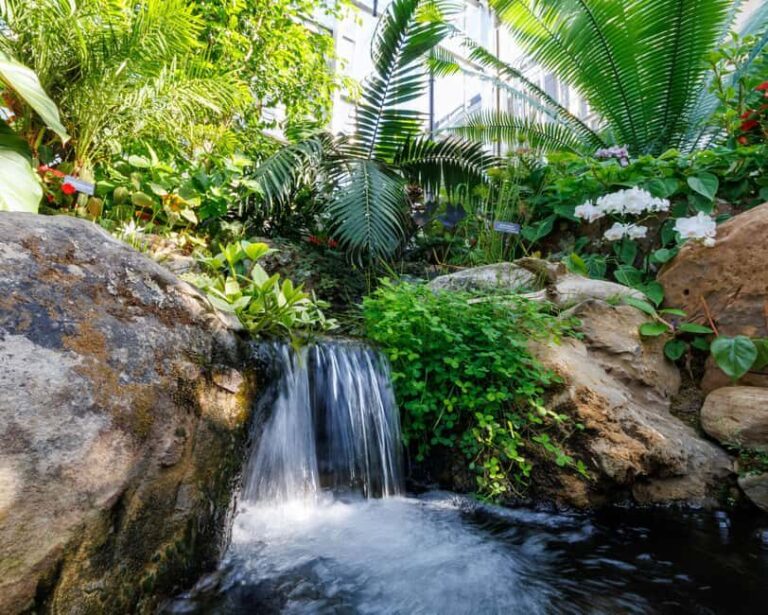 Memphis Botanic Garden Entry Ticket - Authentic Traveler Insights