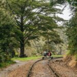 Mendocino County: Pudding Creek Railbikes - The Practical Side: What’s Included and What to Know