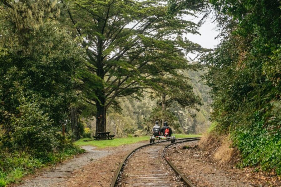 Mendocino County: Pudding Creek Railbikes