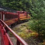 Mendocino County: Skunk Train Wolf Tree Turn Train Ride - The Experience in Detail