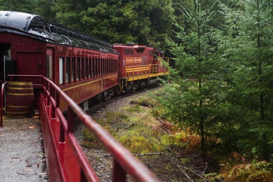 Mendocino County: Skunk Train Wolf Tree Turn Train Ride - The Experience in Detail