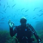 Menorca: Baptism Scuba Diving in Marine Reserve - Exploring Menorca’s Underwater World in Comfort and Confidence